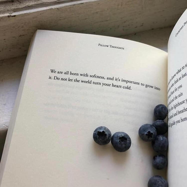 read before you follow